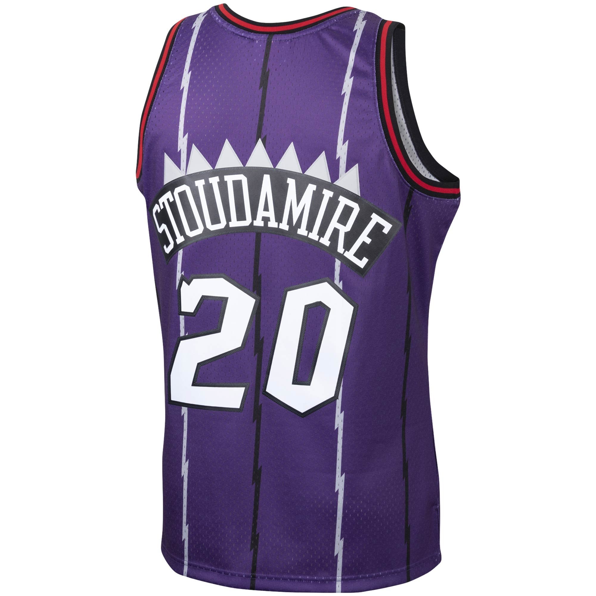 Men's Mitchell & Ness Damon Stoudamire Purple Toronto Raptors 1995-96 Hardwood Classics Swingman Jersey