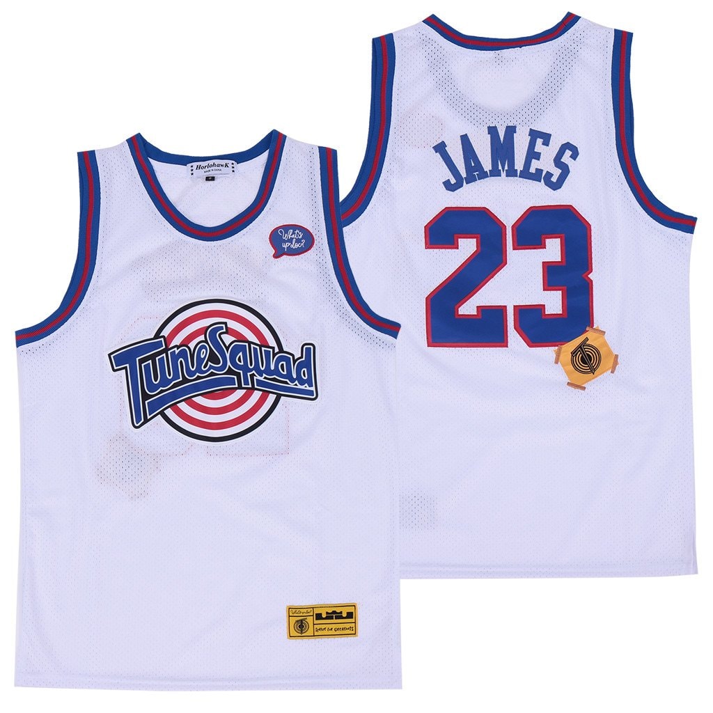 James LeBron 23 Tune Squad DNA Swingman Jersey White Multicolor Unisex