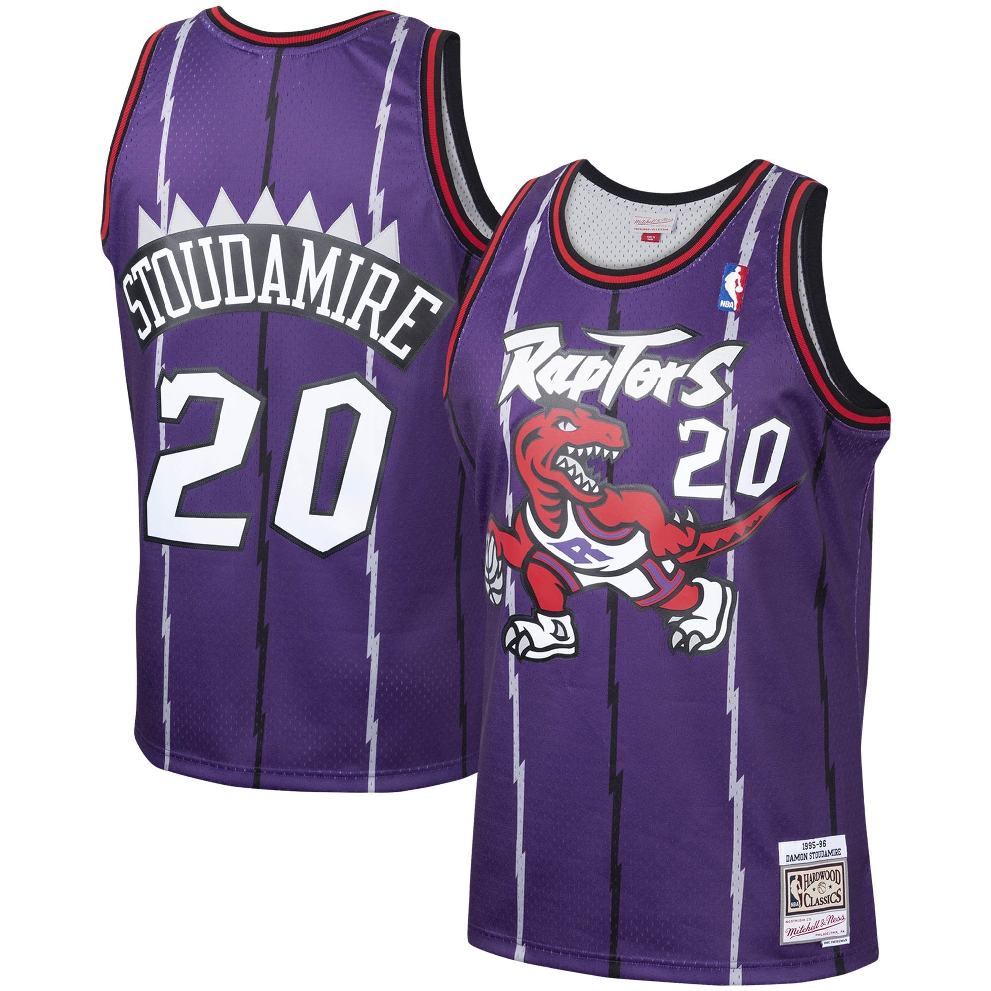 Men's Mitchell & Ness Damon Stoudamire Purple Toronto Raptors 1995-96 Hardwood Classics Swingman Jersey