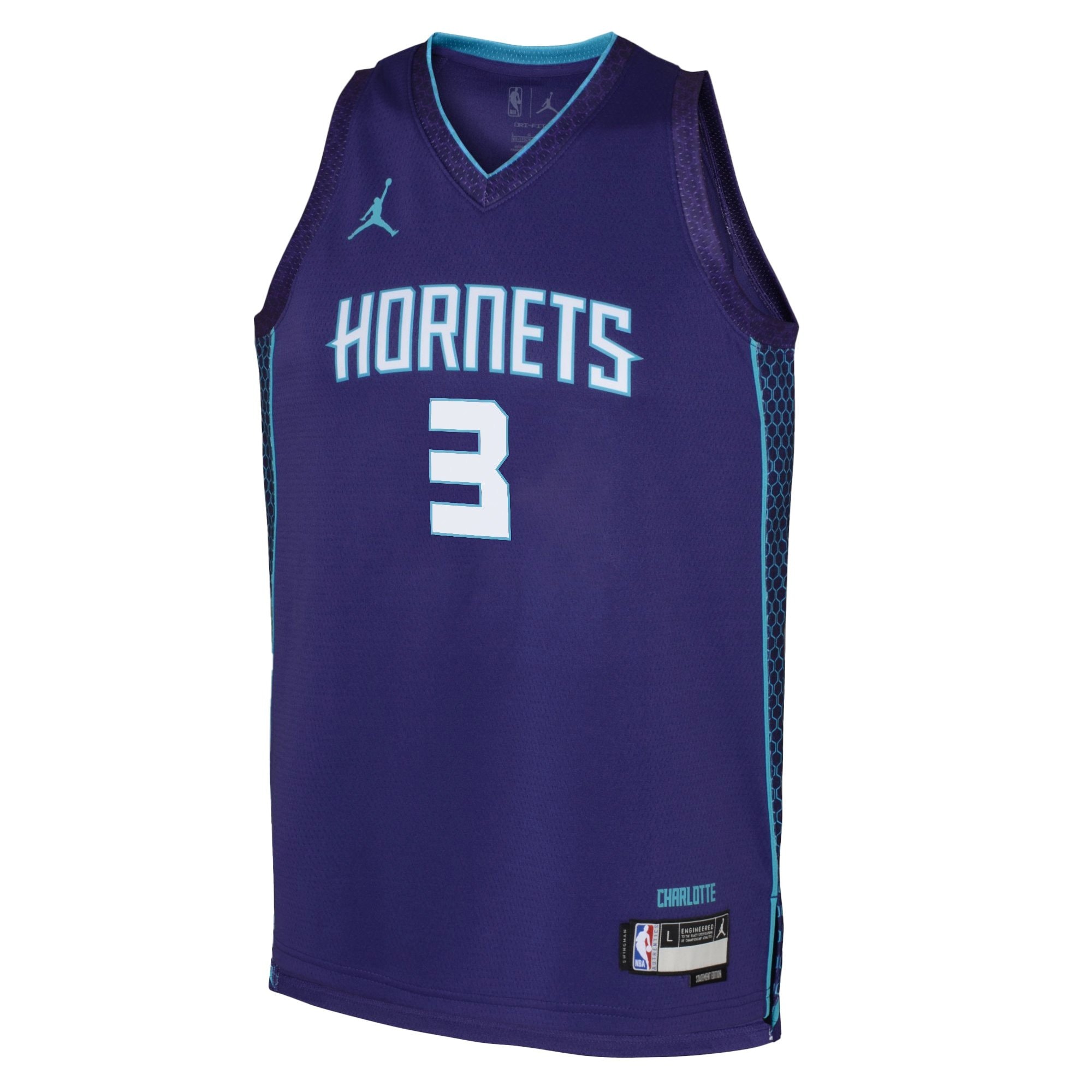 Youth Charlotte Hornets Jordan Brand Statement Edition Swingman Jersey Purple Terry Rozier III